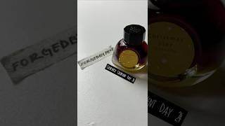 Fountain Pen Ink Swatch  | COLORVERSE Colorvent 2024 (Day 24) #ink  #colorvent