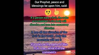 #hadith, one must eat as long as all vitamins are presents in one fruit