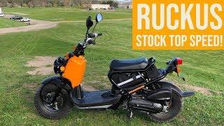 STOCK HONDA RUCKUS TOP SPEED! WITH 190LB RIDER