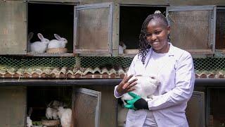 Best Tips and How to Make Serious Money from Rabbit Farming