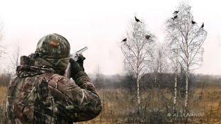 Охота на тетерева осенью. Black grouse hunting