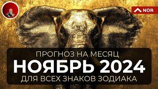 Прогноз на НОЯБРЬ 2024 для Всех Знаков Зодиака: Таро, Ленорман, Руны, Оракул от Лилии Нор