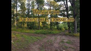 What To Do When You Are In Front of a Cross Road / Orsi Ronai / Phoenix Coaching