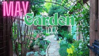 MAY GARDEN TOUR '25 | What’s Growing in My Garden This Month?  | Texas Native and Perennial Plants