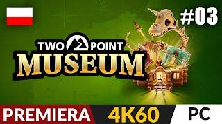 Two Point Museum PL  #3 LIVE ️ Wycieczki i nowe mechaniki | Gameplay po polsku