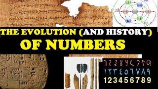 The story of how NUMBERS EVOLVED!