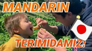 Mandarin terimidamiz!