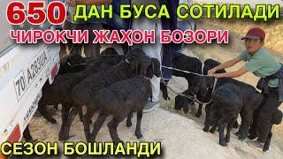 ЕНГ АРЗОН БОЗОР! 14 МАЯ КАШКАДАРЁ ВИЛОЯТИ ЧИРОКЧИ МОЛ БОЗОРИ НАРХЛАРИ 2025.КУЙ КУЗИ НАРХЛАРИ 2025.