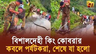 মানুষের চেয়ে দ্বিগুণ বড় কিং কোবরার মুখোমুখি পর্যটকরা, অতপর…| Bangla TV