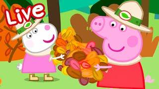 Peppa Pig Full Episodes - LIVE  BRAND NEW PEPPA PIG EPISODES ⭐️