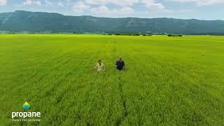 Propane: Energy for Growing Crops and Growing Profits
