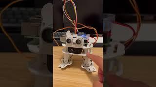 Pisloth Robot - Raspberry pi 4