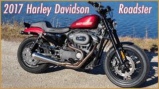 2017 Harley Davidson Roadster Stunt Bike