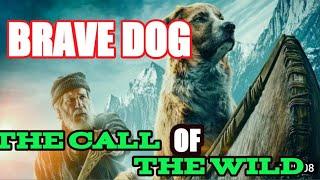 BRAVE DOG 2021 CALL OF THE WILD BEST MOVIE  ADVENTURE 2021 .2022 BEST MOVIE ALL TIME