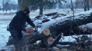 Oregon brand chainsaw chain trial run