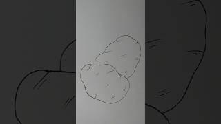 How To Draw Potatoes 