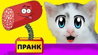 ЛЕТНИЕ ПРАНКИ НАД КОТАМИ! НОВЫЕ ПРИКОЛЫ для пары КОТ  и КОШЕЧКА! 3 смешных пранков над друзьями