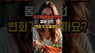 당근을 매일 먹으면 몸에 어떤 변화가 ? #건강 #이슈 #음식 #영양식 #당근