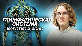 Глимфатическая система | МедВуза