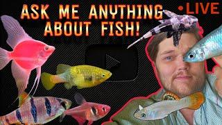 GO AHEAD. Ask Me Anything Fishy! NEW Fish, Trivia & A Lil' Aquarium Edu-muh-cation.