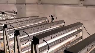 led grow light full spectrum for indoor garden, factory cost for OEM ODM