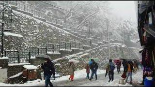 snowfalls || snowfall in shimla