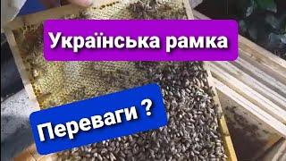 Українська рамка Переваги, як заселити вулик без суші відводки на вощині карніка чи бакфаст