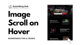 Scroll Image From Top to Bottom on Hover | WordPress Tips and Tricks