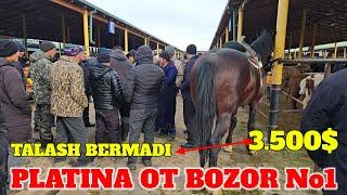 PLATINA OT BOZOR! HORSE MARKET! 5.800$ OLINGAN EKAN 3.500$ SO‘RASHDI SIZGA ALAM QIMIYDIMI? KAMENTDA