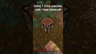 Day 6 #minecraft #1thingeveryday