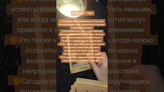 Внимание! Ты на пороге своих возможностей! #danilova #elenadanilova