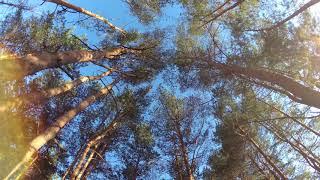 Test footage Yi 4K - Auto setting - Yi color -  No color correction
