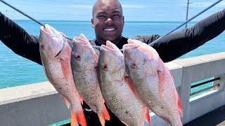 SECRET BAIT! Catching MULTIPLE Mutton Snapper (FL Keys Bridge Fishing)