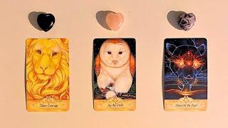 Their TRUE Feelings & HIDDEN Desires Towards You️Pick-A-Card️