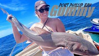 GUMMY SHARK fishing Port Phillip Bay - South Channel | Finally!