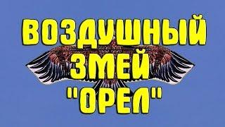 Воздушный змей "Орел": обзор, сборка и запуск