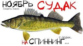 Как ловить судака на спиннинг осенью в ноябре? Как ловить судака на спиннинг поздней осенью?