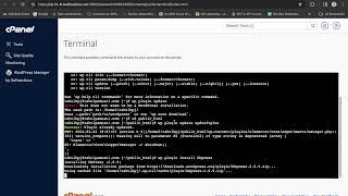 How To Use WP CLI In WordPress | Update Plugins Using WP CLI