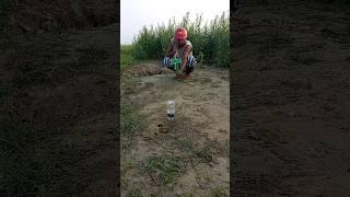 Farmer's Rat Killing 85 #shortsfeed #rattrap #farming #survival #viralvideo #hunt