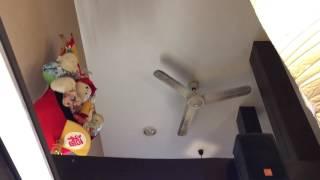 Industrial/commercial duty ceiling fan, air conditioner, exhaust fan, and pedestal fan in a store