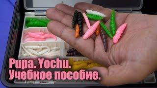 Ловля форели на силиконовые личинки FishUp Pupa, Yochu, Morio.