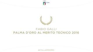 Fabio Galli, Palma d'oro al merito tecnico 2016