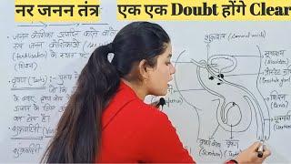 नर जनन तंत्र (हिंदी में) | Male Reproductive System in Hindi | Full and Simple Explanation