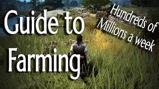 Beginner's Guide to Farming for Silver in BDO