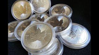 2020 1 oz Silver Canadian Maple Leaf Coin