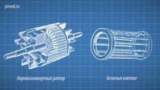 Модуль №3.  Принцип работы асинхронного электродвигателя.