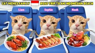CAT MEMES Family Road Trip to an Indonesian Beach