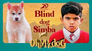 Oh My Dog - Blind dog Simba | Arun Vijay | Mahima Nambiar | Vinay Rai | 2D Entertainment