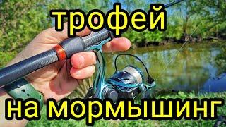 КЛЮНУЛ ТРОФЕЙ НА МОРМЫШИНГ !!! РАЗЛОВИЛ Dayo Nano Atarashii !!! МОРМЫШИНГ ДАРИТ ЭМОЦИИ !!!