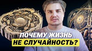 Почему жизнь не случайность? Секреты клетки. Механизмы, которые меняют всё!